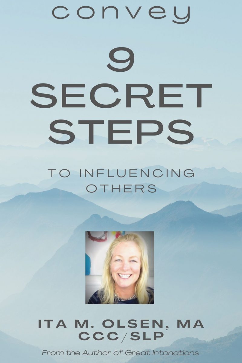 book cover 9 secret steps to being influential